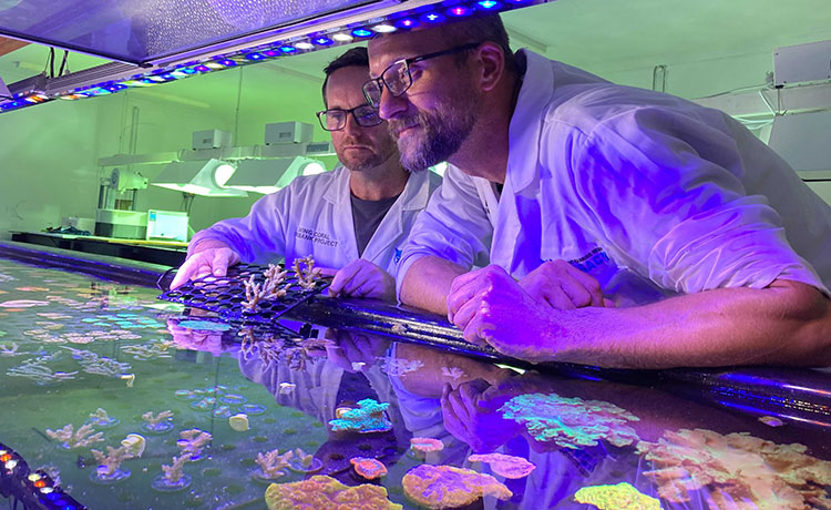 supporting conservation